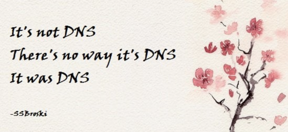 Featured image of post Home Assistant and DNS