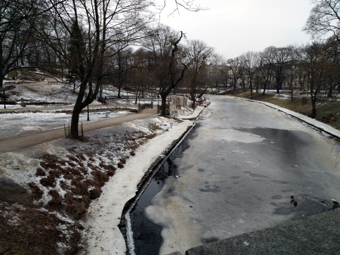 Frozen Stream in Riga