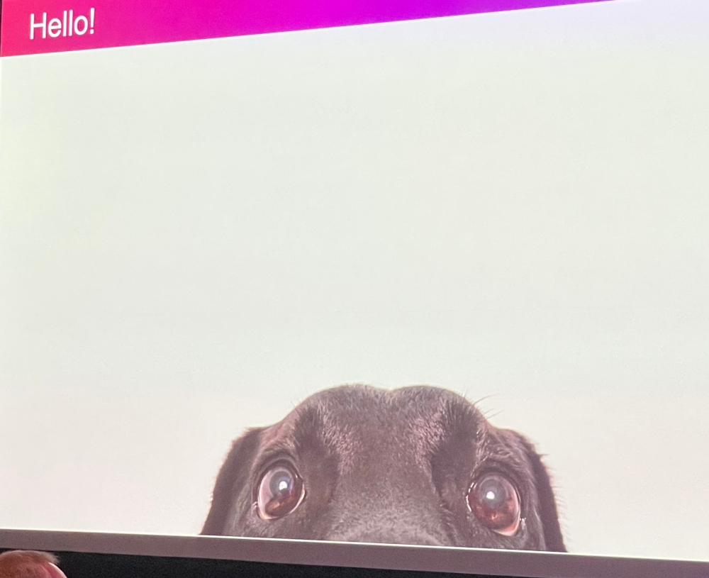 Slide of a white background with the head and sad eyes of a cute black dog